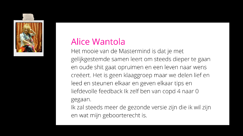 Recensie Freebirds Mastermind Alice - 800 x 450