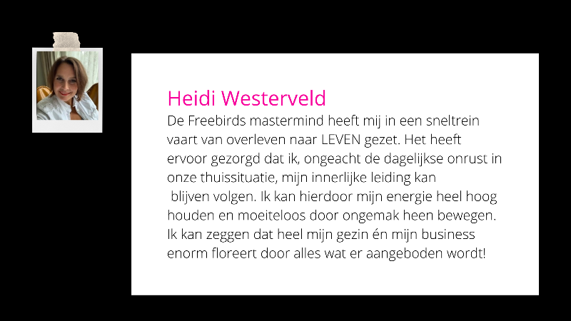 Recensie Freebirds Mastermind Heidi - 800 x 450