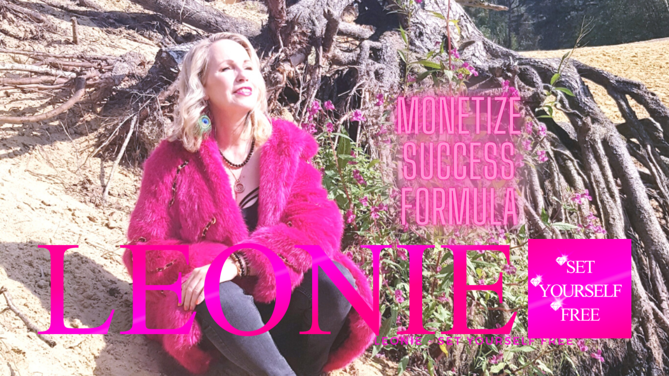 Monetize Success Formula Monetize Success Formula
